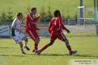 IMG_9785.jpg