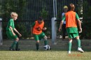 DSC_0096.jpg