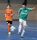 Nom du fichier=20170114-1302_HARJEU_0244.jpg
Taille du fichier=126Ko
Dimensions : 753x800
Ajouté le : 14 Janvier 2017 20170114-1302_HARJEU_0244.jpg