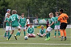 Nom du fichier=20170618-1621_JT17_0115.jpg
Taille du fichier=150Ko
Dimensions : 800x533
Ajouté le : 18 Juin 2017 20170618-1621_JT17_0115.jpg