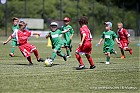 Nom du fichier=20180630-1534_HARJT18_090.jpg
Taille du fichier=127Ko
Dimensions : 800x533
Ajouté le : 01 Juillet 2018 20180630-1534_HARJT18_090.jpg