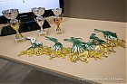 Nom du fichier=20181229-1825_JTIND18_269.jpg
Taille du fichier=105Ko
Dimensions : 800x533
Ajouté le : 01 Janvier 2019 20181229-1825_JTIND18_269.jpg