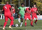 Nom du fichier=20221009-1544_HARBOU_181.jpg
Taille du fichier=253Ko
Dimensions : 1000x732
Ajouté le : 09 Octobre 2022 20221009-1544_HARBOU_181.jpg