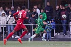 Nom du fichier=20221002-1528_HARHES_113.jpg
Taille du fichier=206Ko
Dimensions : 1000x666
Ajouté le : 02 Octobre 2022 20221002-1528_HARHES_113.jpg