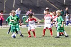 Nom du fichier=20220910-1328_HAJT22_49.jpg
Taille du fichier=226Ko
Dimensions : 1000x667
Ajouté le : 11 Septembre 2022 20220910-1328_HAJT22_49.jpg