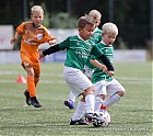 Nom du fichier=20220910-1334_HAJT22_57.jpg
Taille du fichier=238Ko
Dimensions : 1000x890
Ajouté le : 11 Septembre 2022 20220910-1334_HAJT22_57.jpg