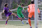 20250419-1727_HARELL_070.jpg