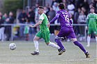20250419-1756_HARELL_122.jpg