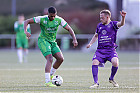 20250419-1756_HARELL_124.jpg