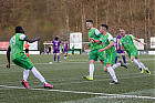 20250419-1858_HARELL_320.jpg