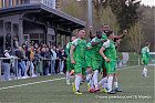 20250419-1859_HARELL_389.jpg