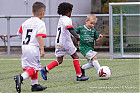 Nom du fichier=20240818-1239_JT24_100.jpg
Taille du fichier=238Ko
Dimensions : 1200x800
Ajouté le : 18 Août 2024 20240818-1239_JT24_100.jpg