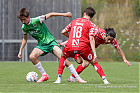 20240721-1533_HARWIL_120.jpg