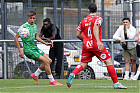 20240721-1545_HARWIL_181.jpg