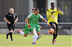 20260510-1636_FOLHAR_619.jpg