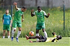 20260510-1638_FOLHAR_625.jpg