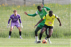 20260510-1645_FOLHAR_685.jpg