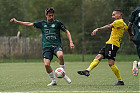 20260913-1754_HARSCH_285.jpg