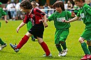IMG_6551.jpg