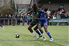 Nom du fichier=20261018-1735_HARFFN_332.jpg
Taille du fichier=340Ko
Dimensions : 1400x933
Ajouté le : 19 Octobre 2026 20261018-1735_HARFFN_332.jpg